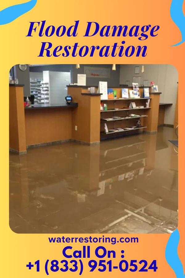 Flood Damage Restoration in Albee, SD