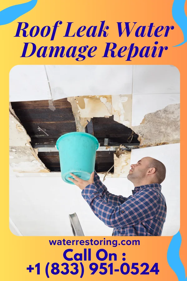 Roof Leak Water Damage Repair in Albee, SD